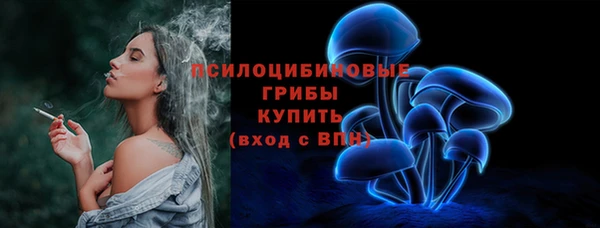 прущие грибы Краснотурьинск