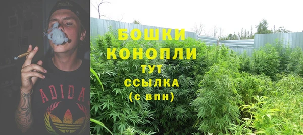 дмт Козельск