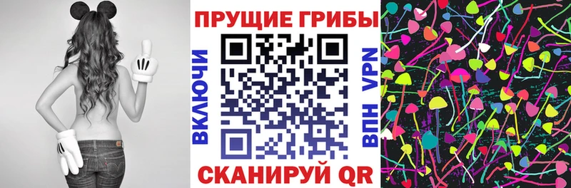 Псилоцибиновые грибы Psilocybine cubensis  Венёв 